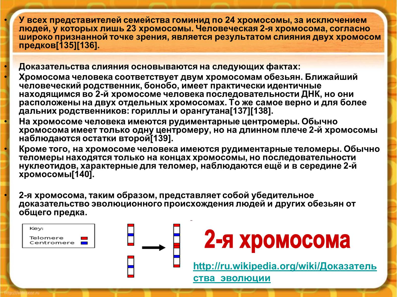 Презентація на тему «Макроэволюция.Доказательства эволюции» - Слайд #43