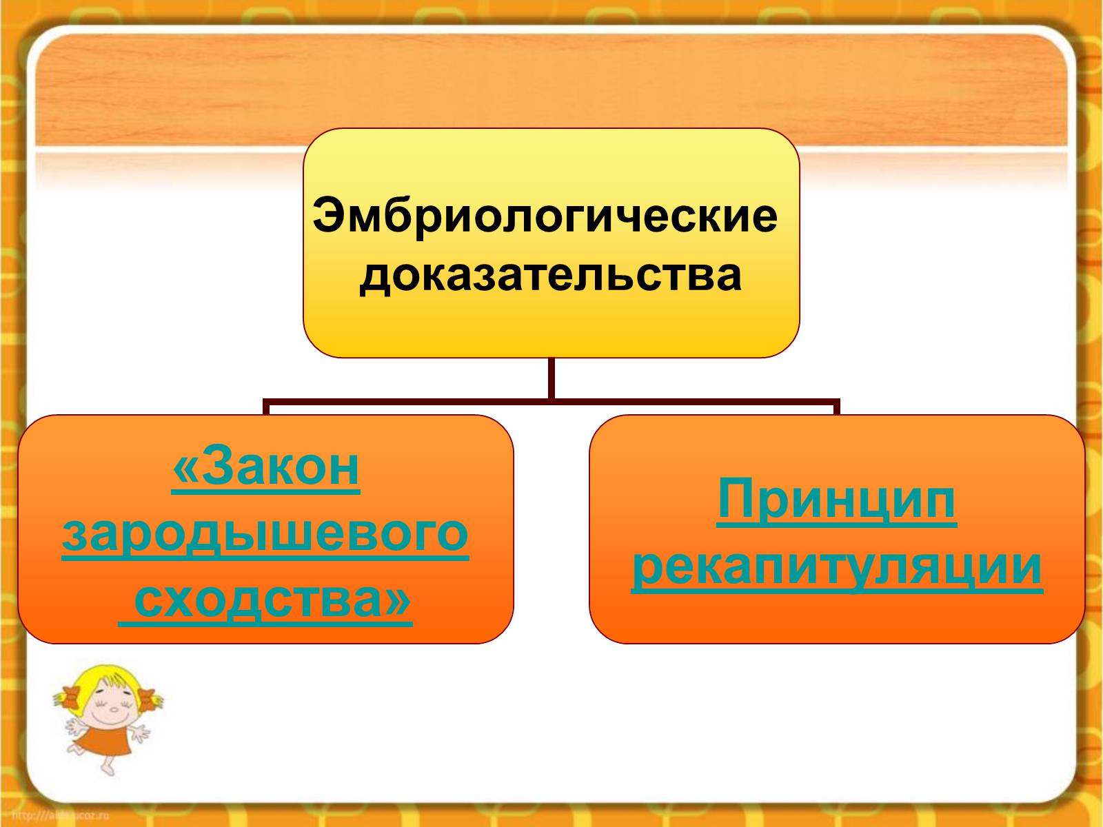 Презентація на тему «Макроэволюция.Доказательства эволюции» - Слайд #47