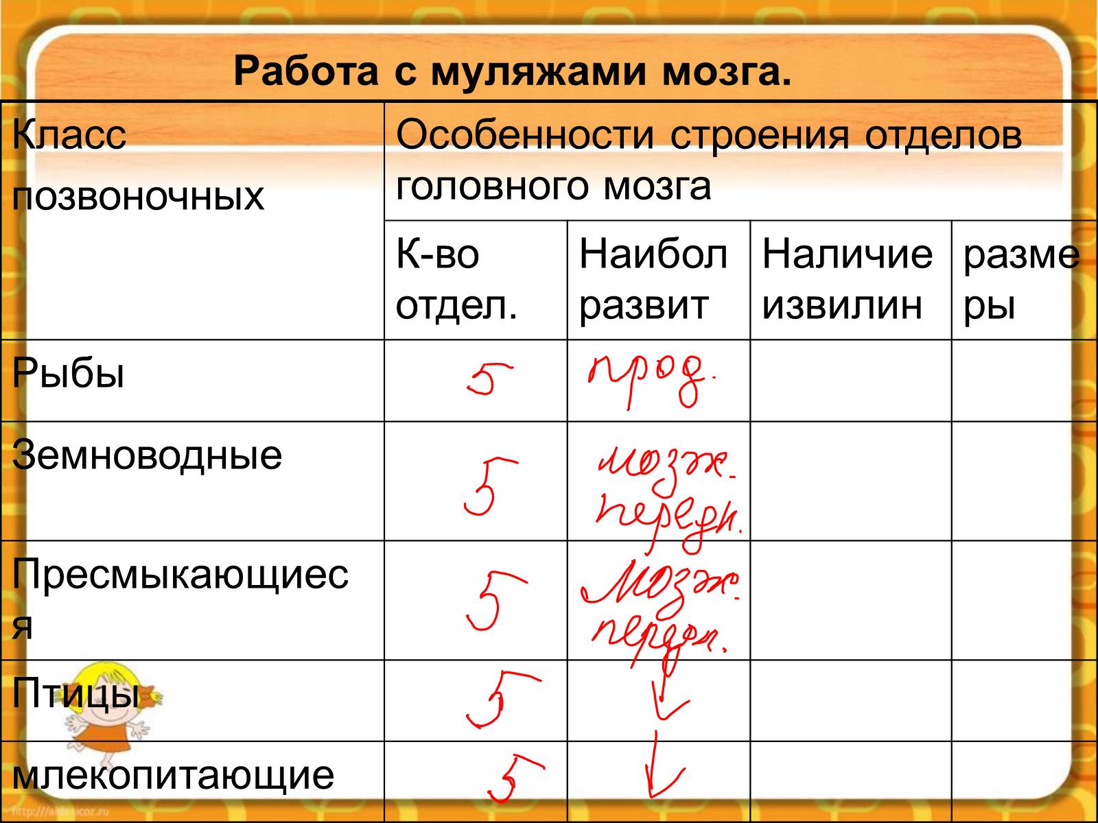 Презентація на тему «Макроэволюция.Доказательства эволюции» - Слайд #59