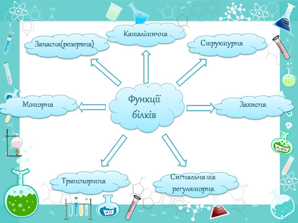 Презентація на тему «Білки» (варіант 14) - Слайд #10