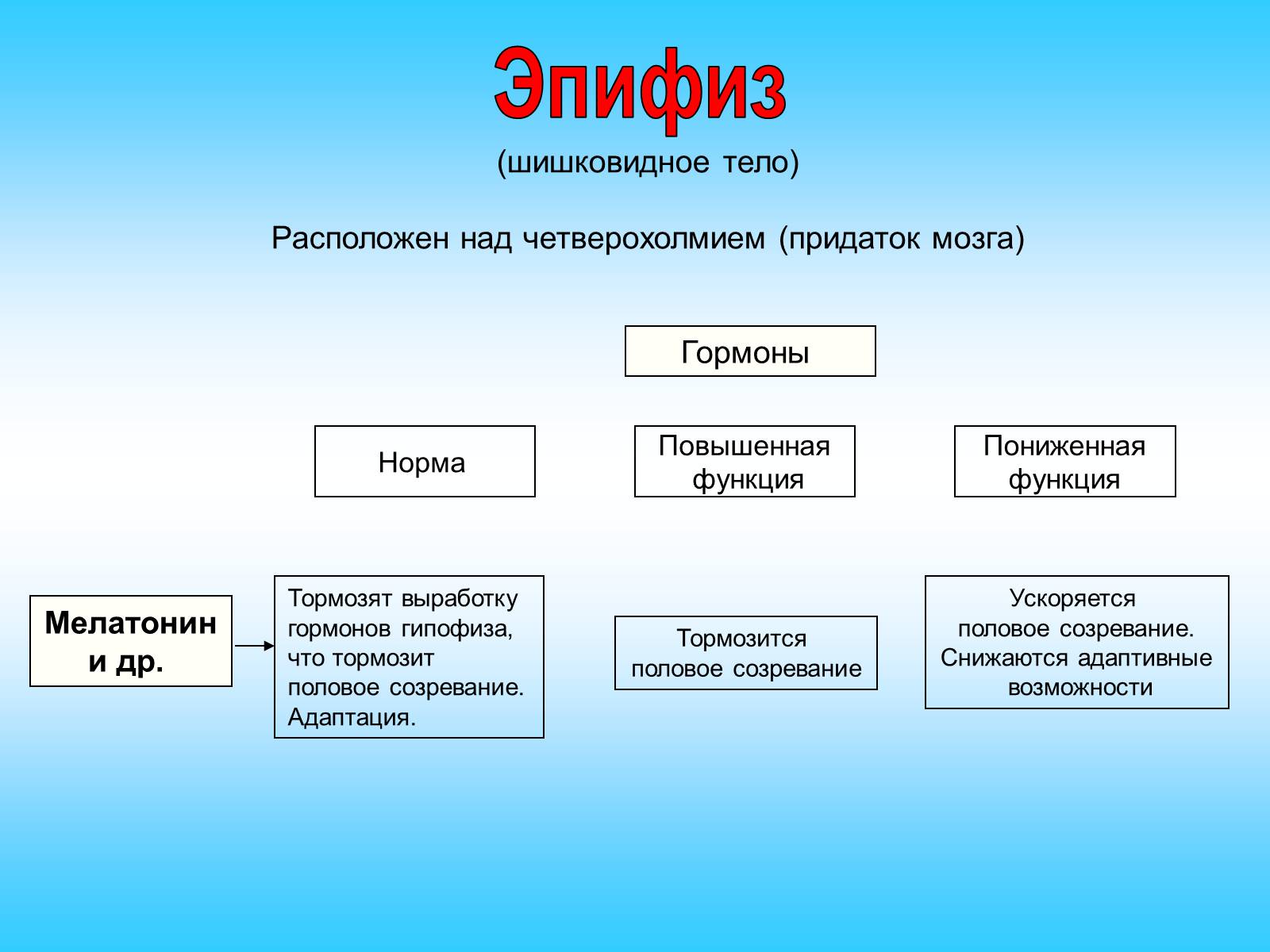 Презентація на тему «Железы внутренней секреции» (варіант 2) - Слайд #16