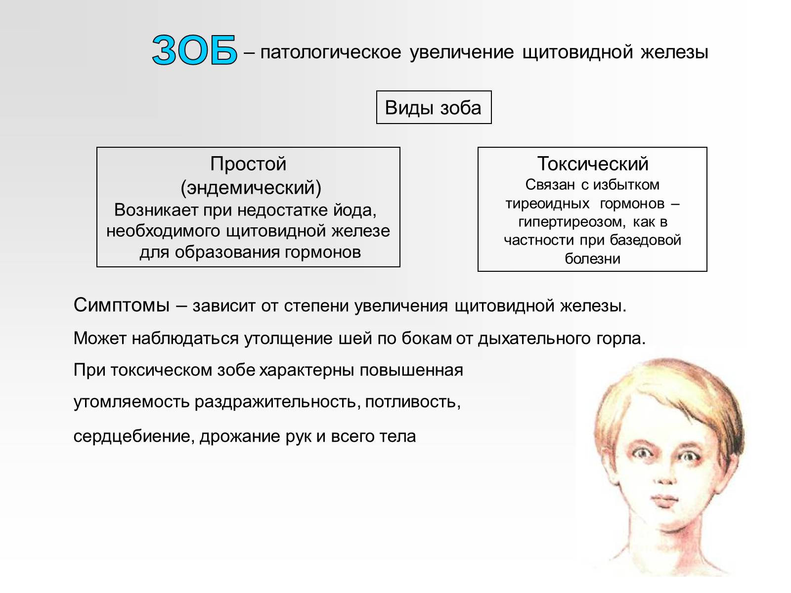 Презентація на тему «Железы внутренней секреции» (варіант 2) - Слайд #19