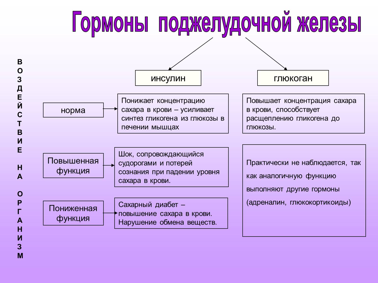 Презентація на тему «Железы внутренней секреции» (варіант 2) - Слайд #27