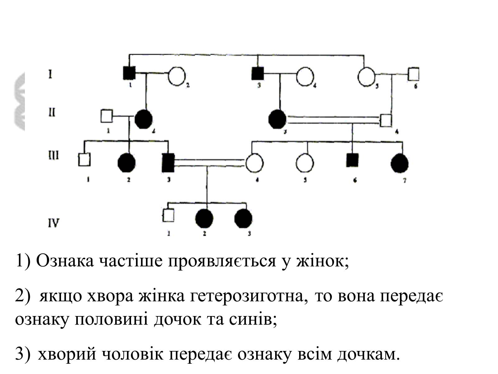 Презентація на тему «Успадкування статі та ознак, зчеплених зі статтю» - Слайд #26