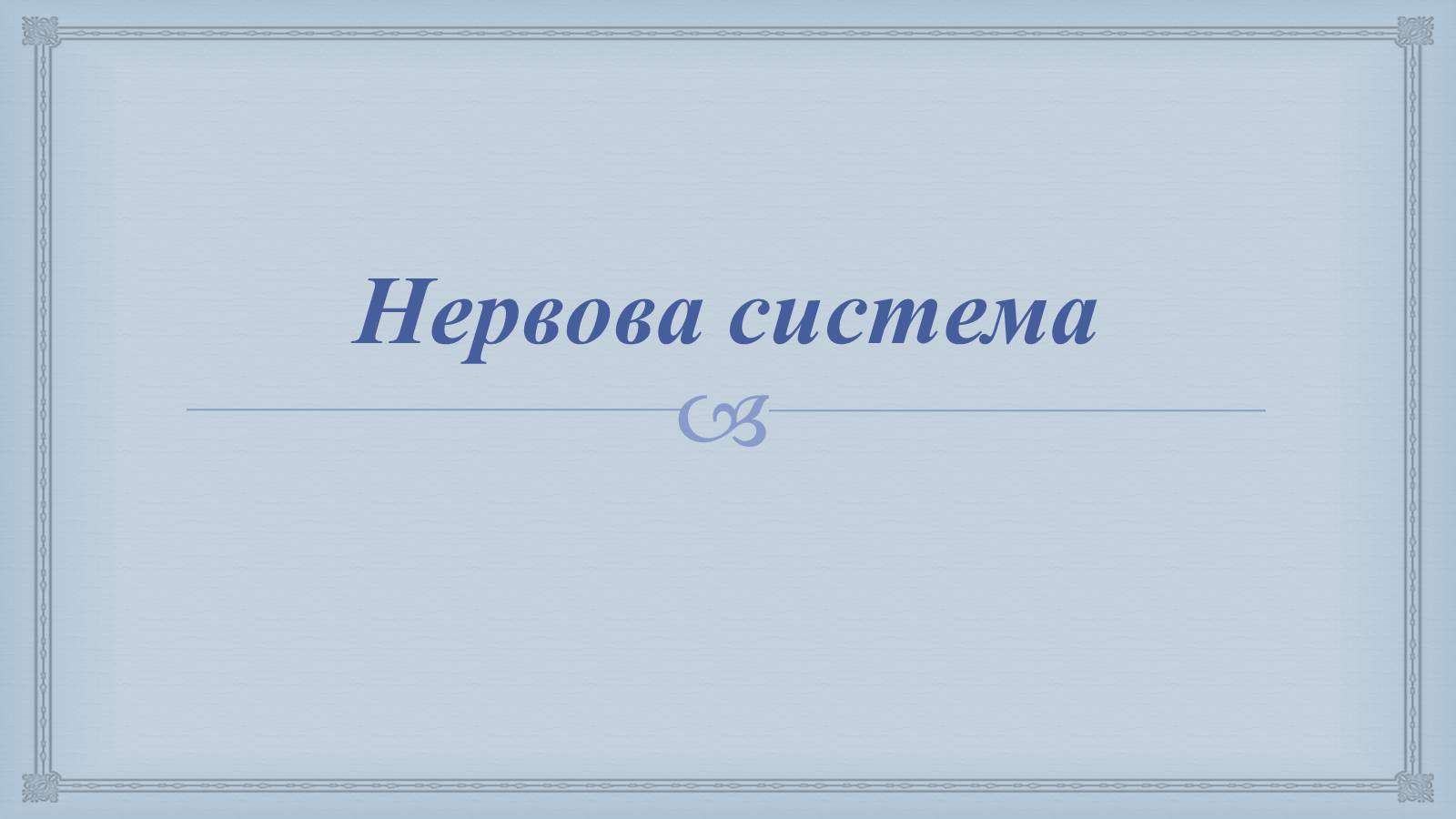 Презентація на тему «Системи людського організму» - Слайд #12