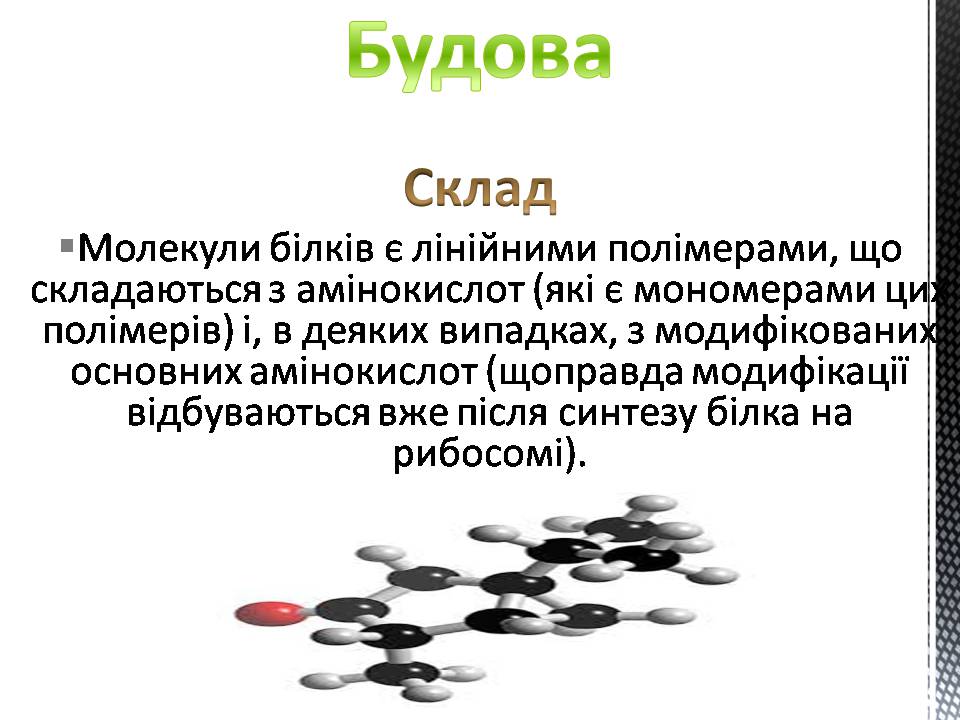 Презентація на тему «Білки» (варіант 13) - Слайд #5