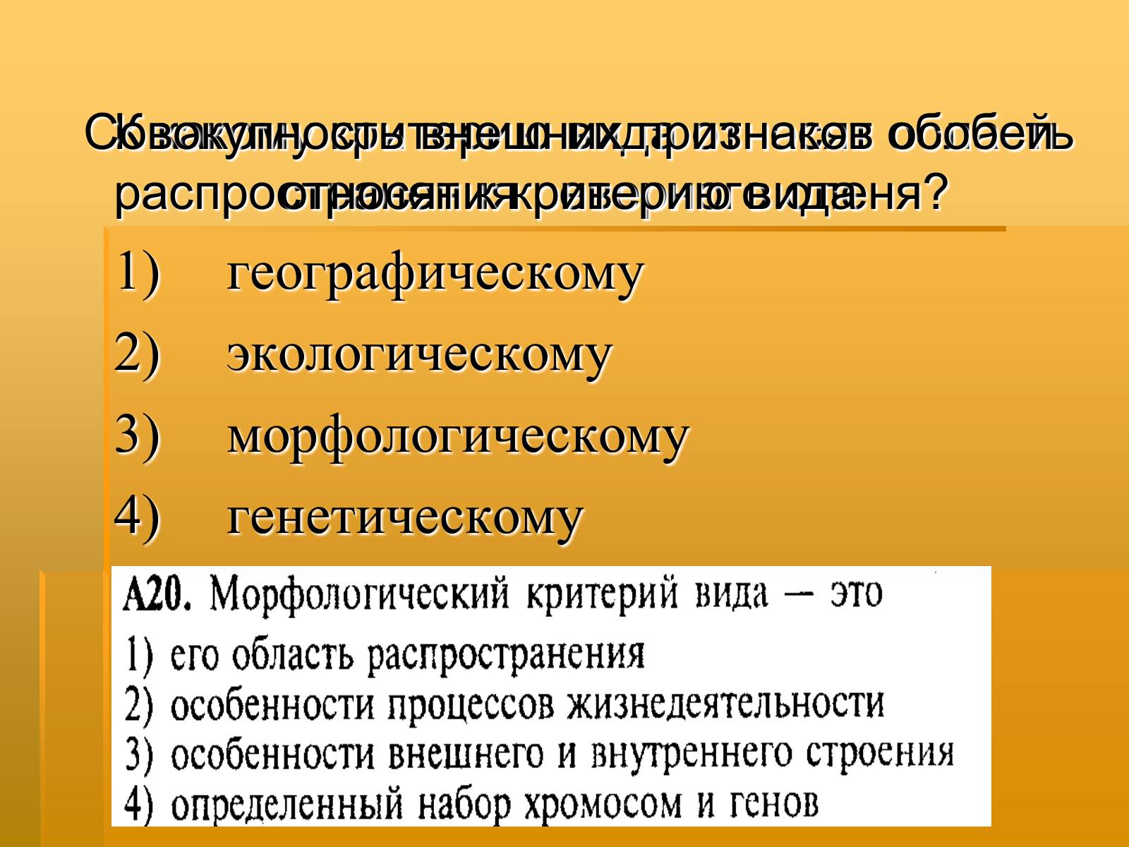 Презентація на тему «Вид. Критерии вида» - Слайд #28