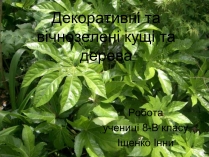 Презентація на тему «Декоративні та вічнозелені кущі та дерева»