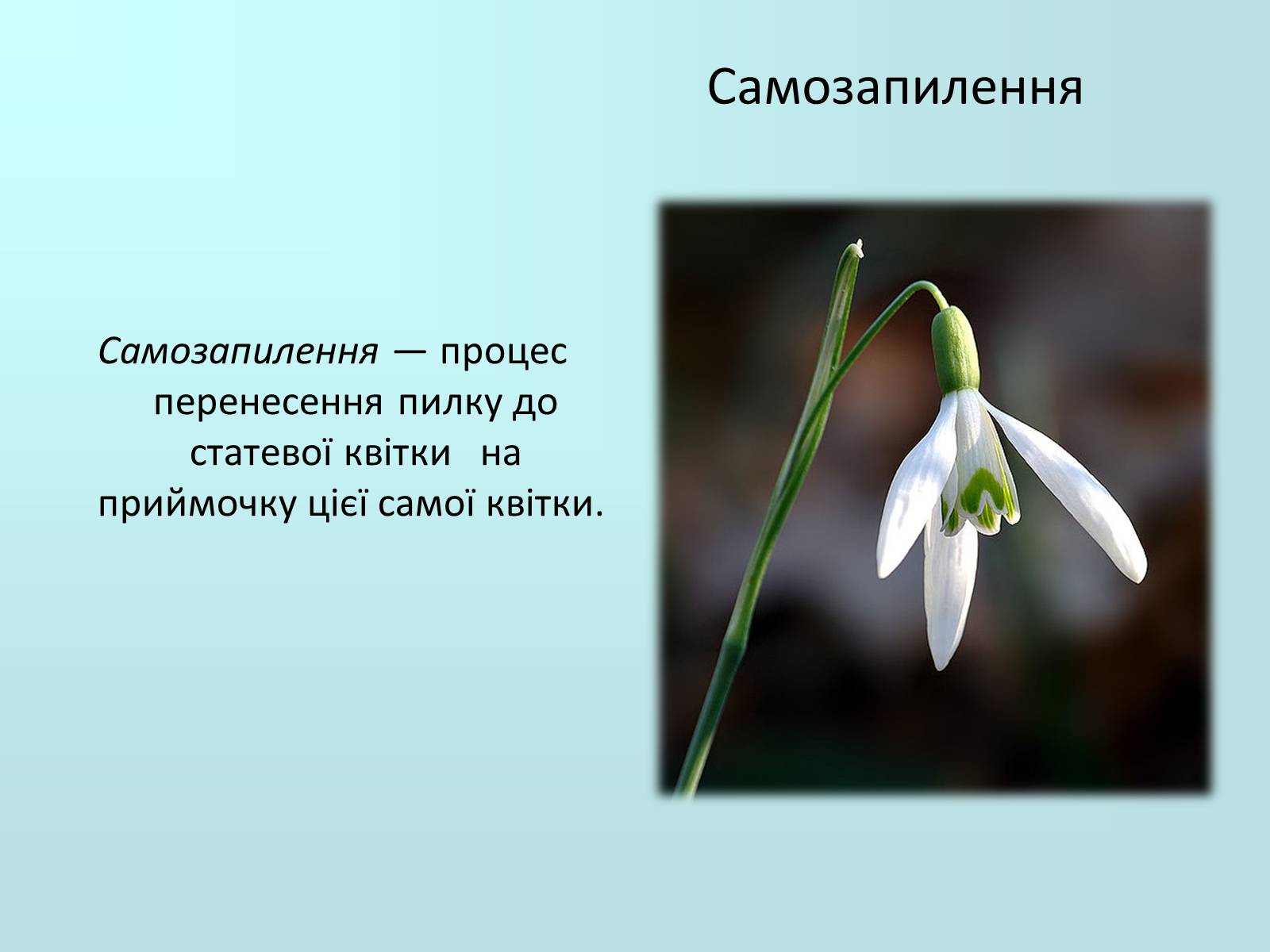 Презентація на тему «Запилення та запліднення рослин» (варіант 2) - Слайд #4