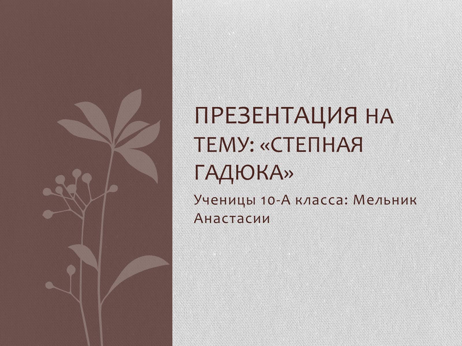 Презентація на тему «Степная гадюка» - Слайд #1