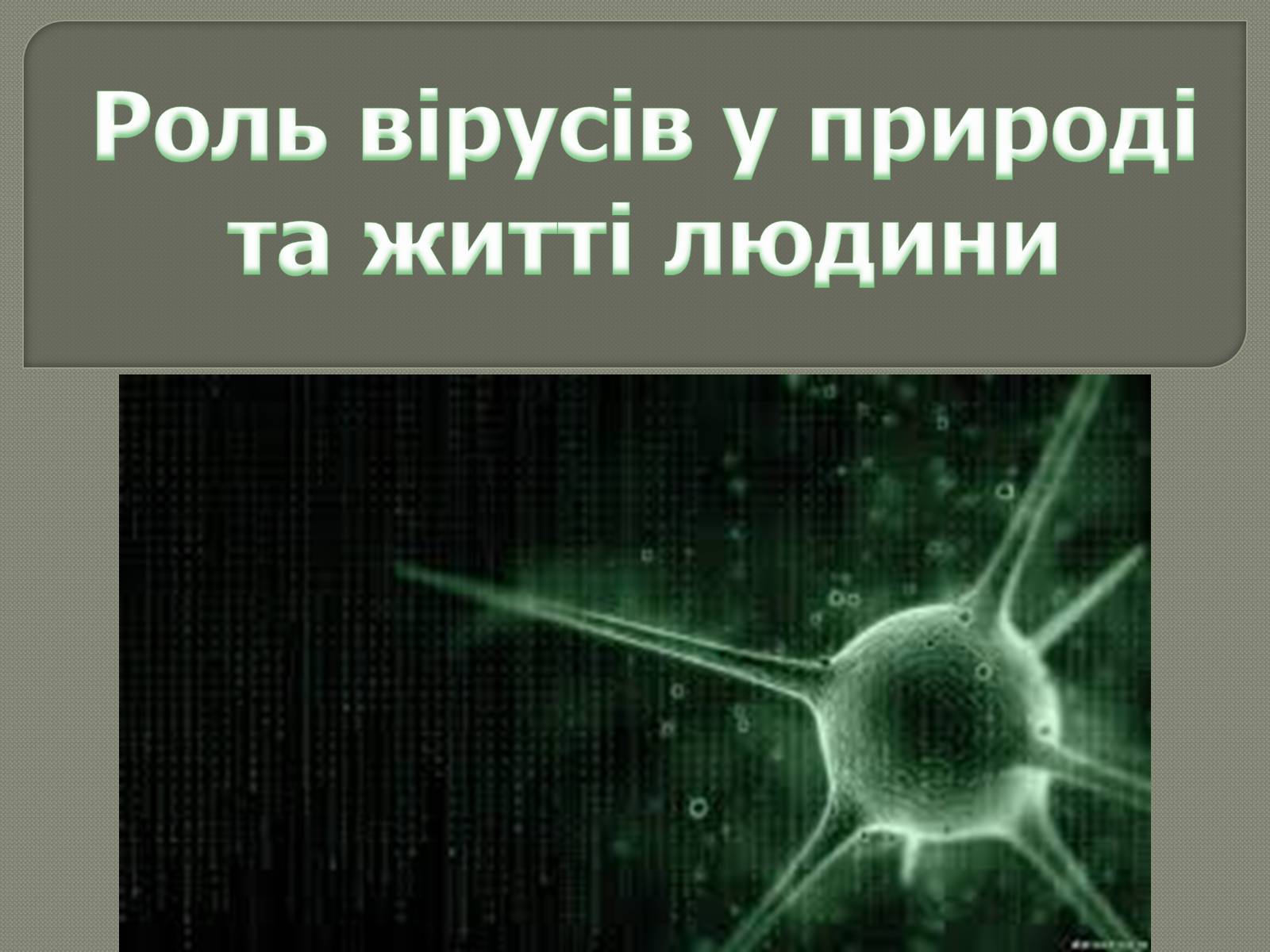 Презентація на тему «Роль вірусів у природі та житті людини» - Слайд #1