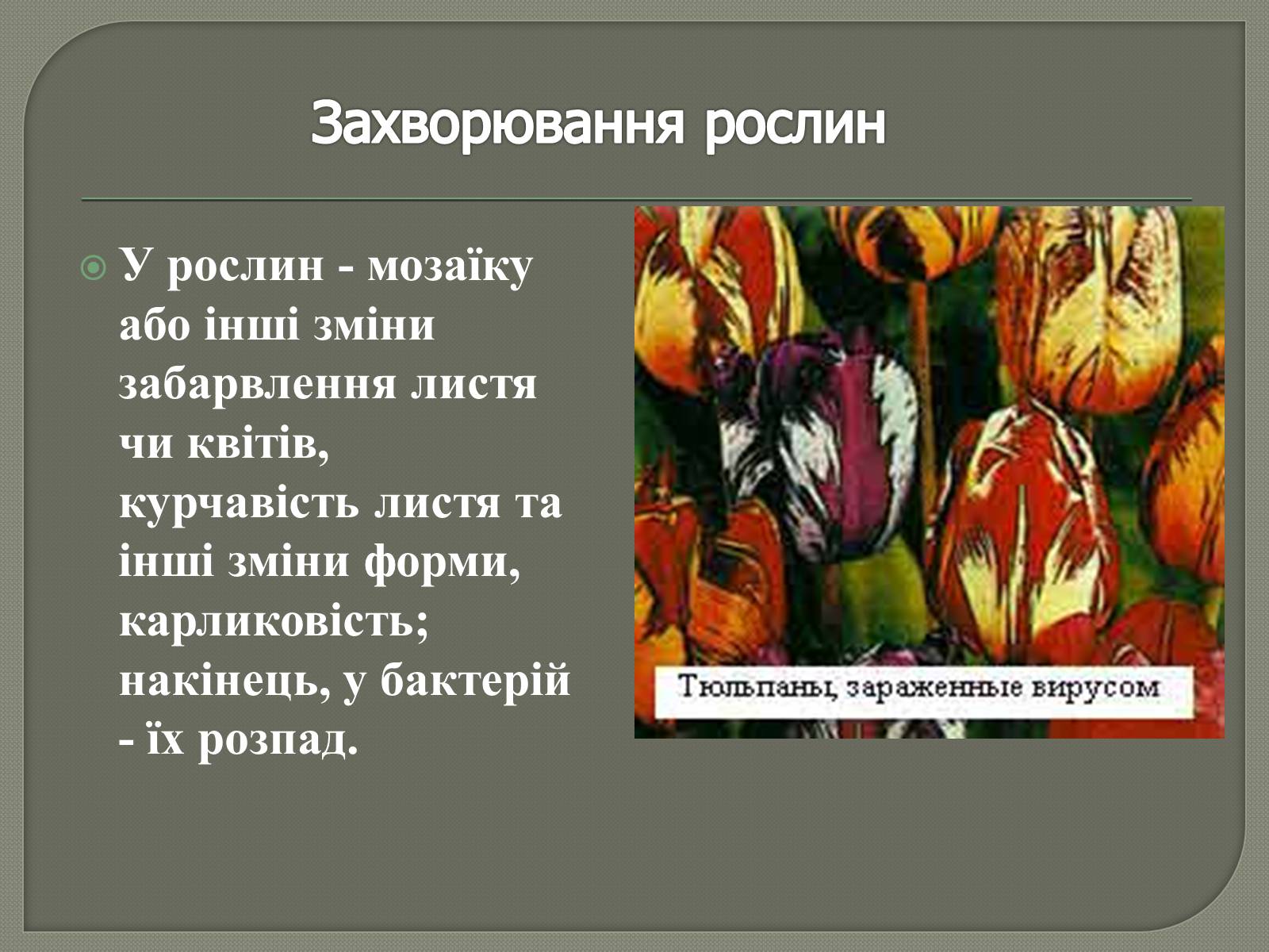 Презентація на тему «Роль вірусів у природі та житті людини» - Слайд #10