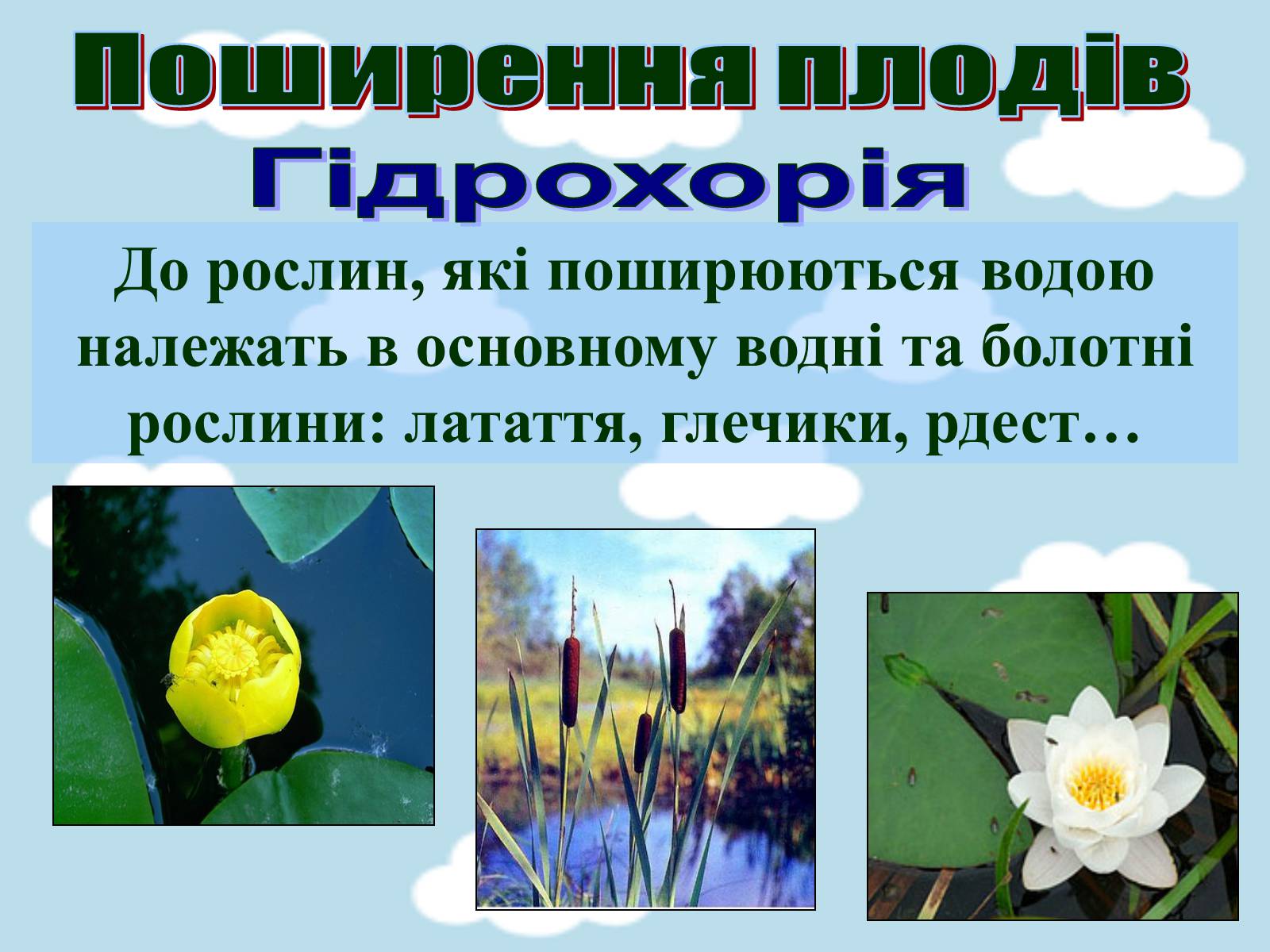 Презентація на тему «Поширення плодів» (варіант 1) - Слайд #6