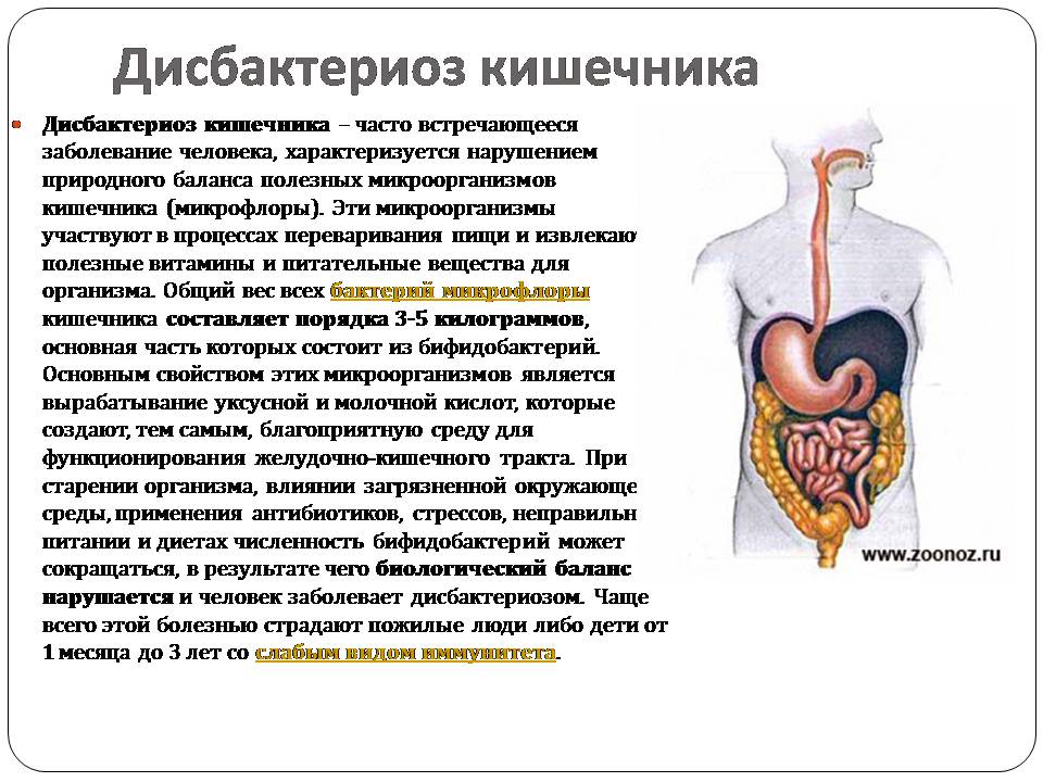 Презентація на тему «Болезни пищеварительной системы» - Слайд #2