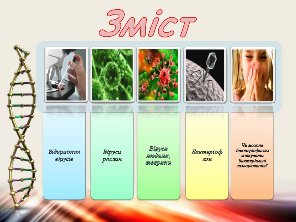 Презентація на тему «Віруси та бактеріофаги» - Слайд #2