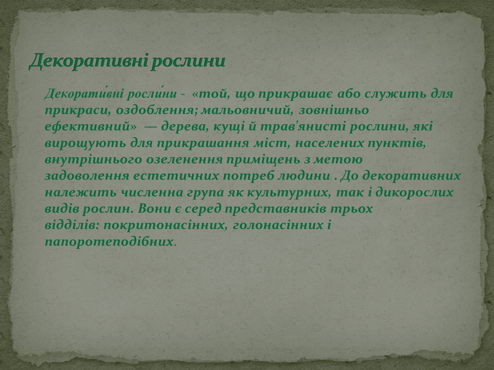 Презентація на тему «Декоративні рослини» - Слайд #3