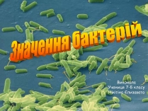 Презентація на тему «Значення бактерій»