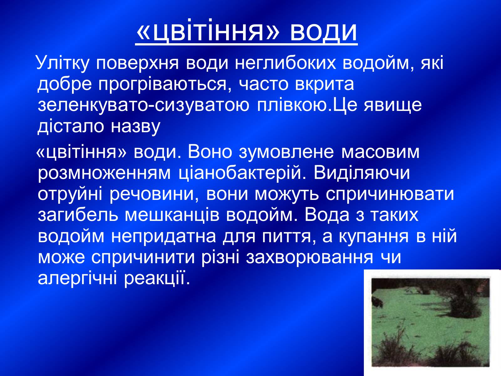 Презентація на тему «Значення бактерій» - Слайд #12