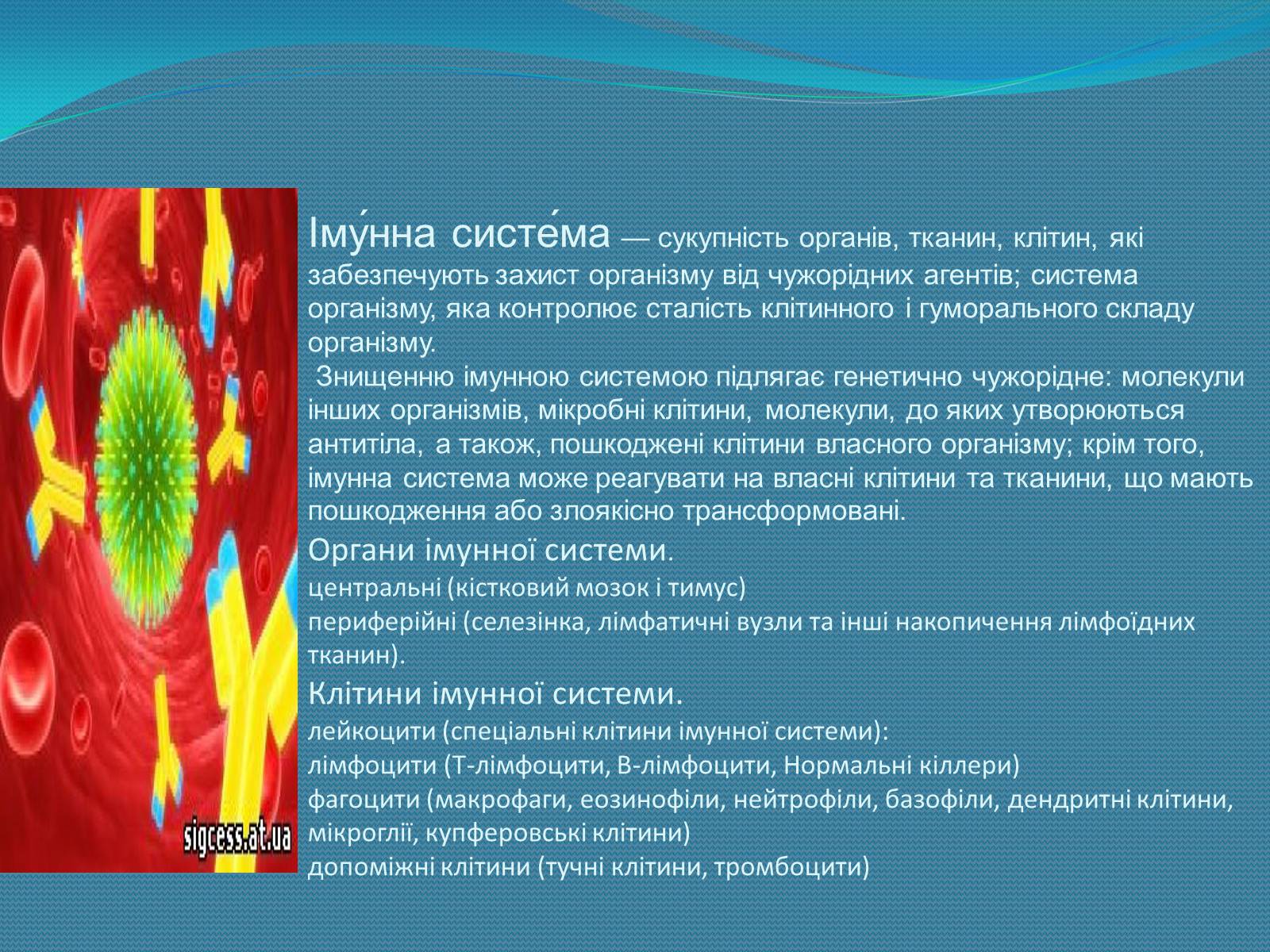 Презентація на тему «Імунна система» - Слайд #3