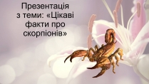 Презентація на тему «Цікаві факти про скорпіонів»