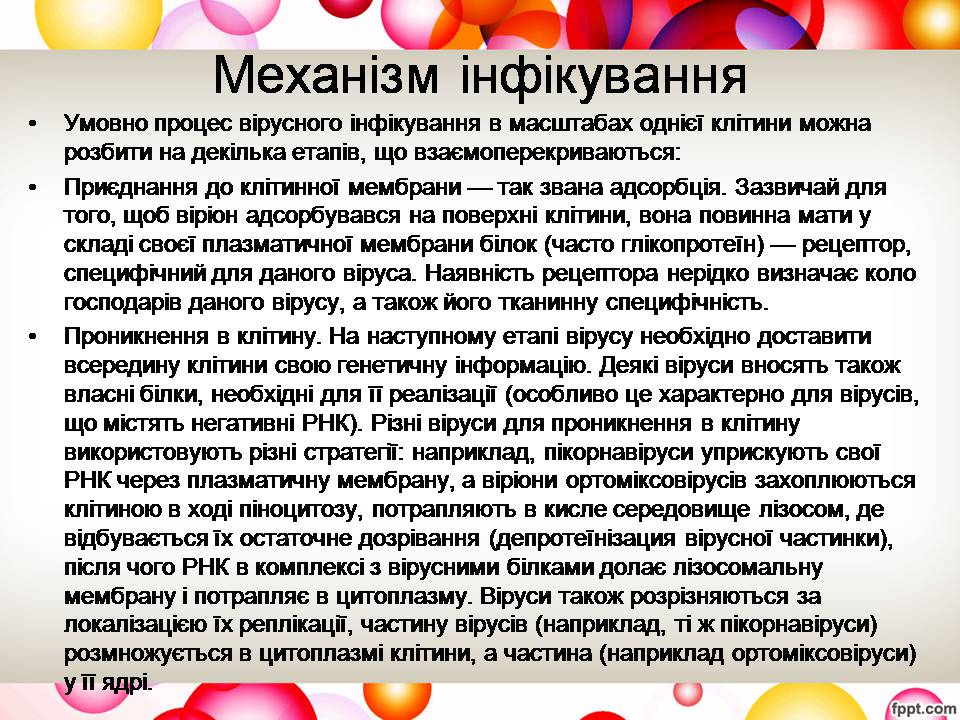 Презентація на тему «Віруси та їхня будова» - Слайд #6