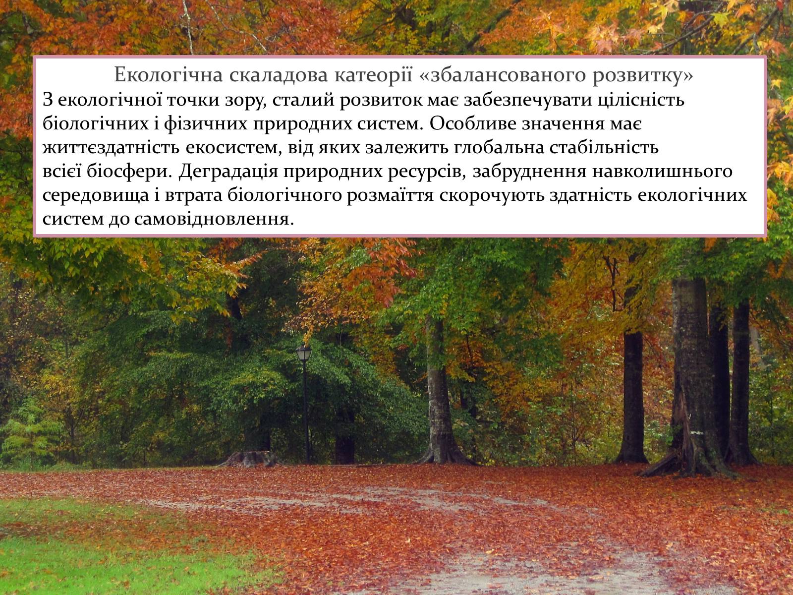 Презентація на тему «Найважливіші баланси у сфері природокористування. Збалансований розвиток» - Слайд #10