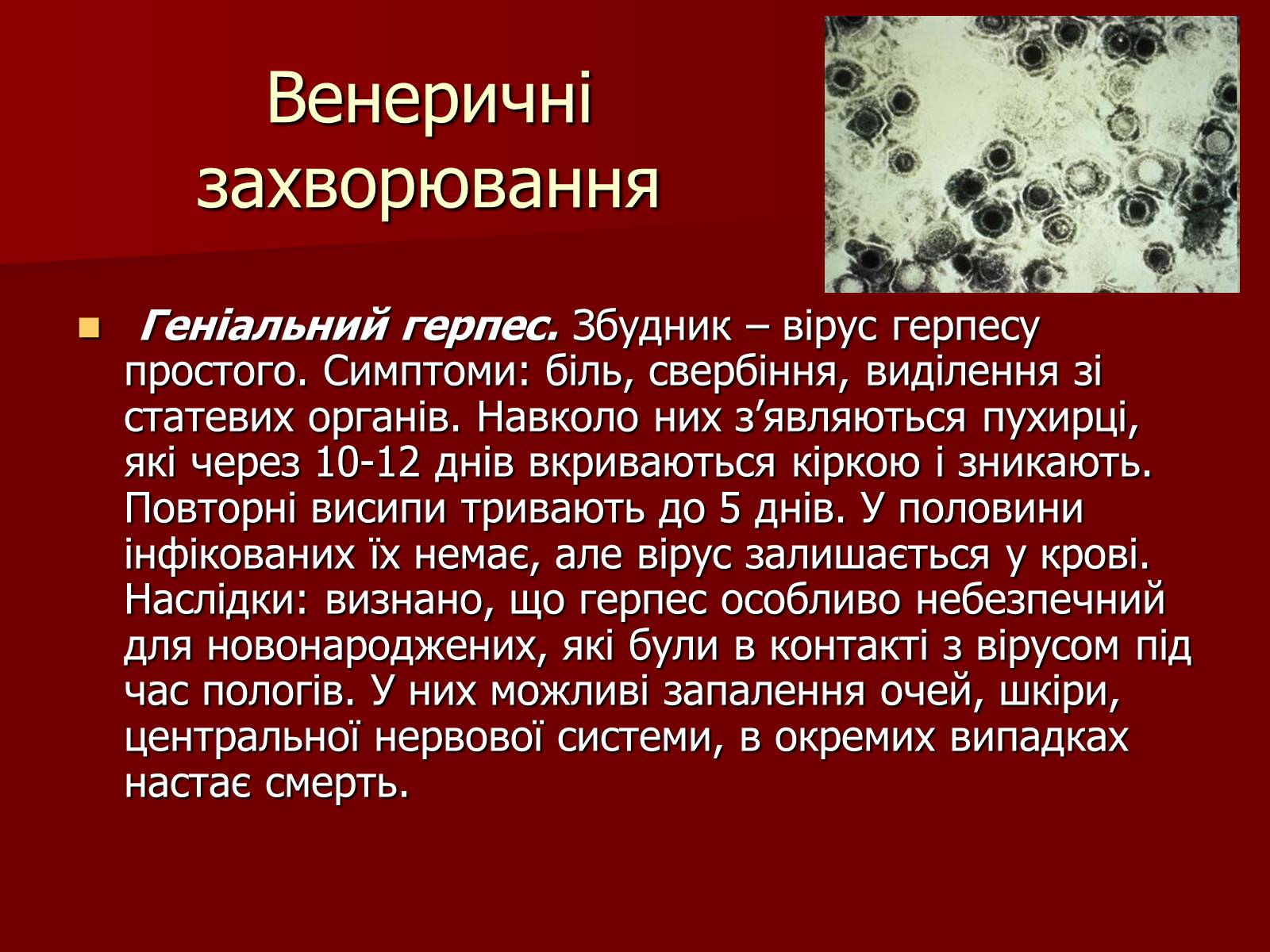 Презентація на тему «Ознаки фізіологічної та соціальної зрілості» - Слайд #15