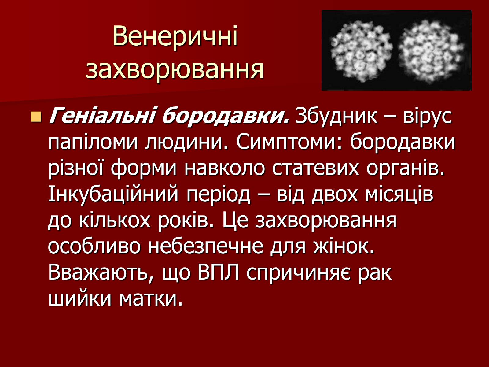 Презентація на тему «Ознаки фізіологічної та соціальної зрілості» - Слайд #16