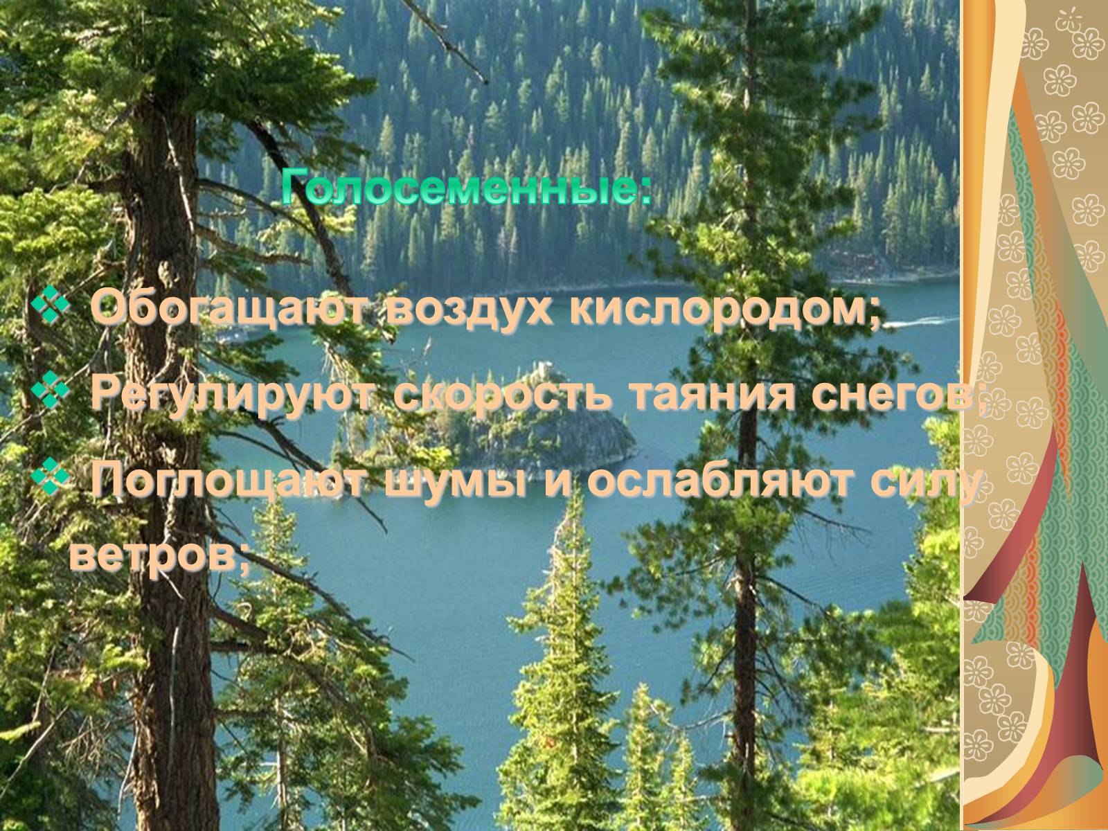 Презентація на тему «Значение голосеменных в природе» - Слайд #3