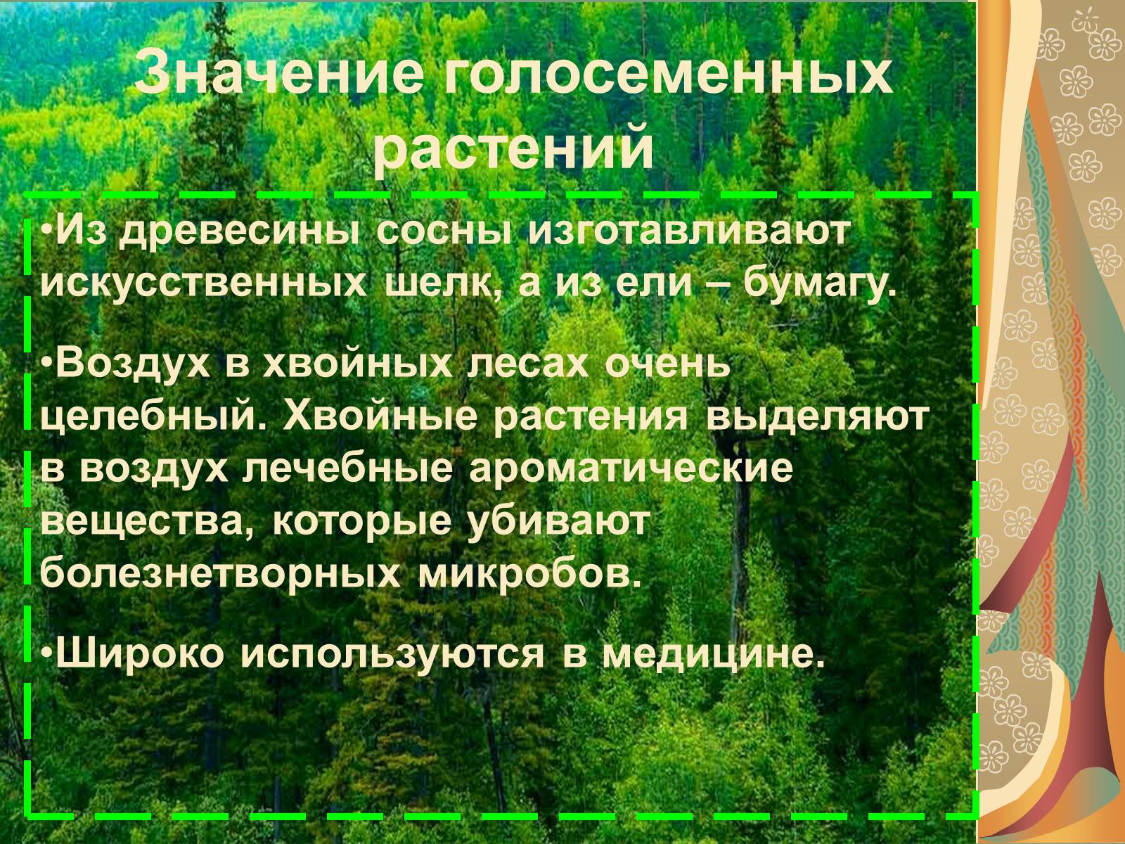 Презентація на тему «Значение голосеменных в природе» - Слайд #9