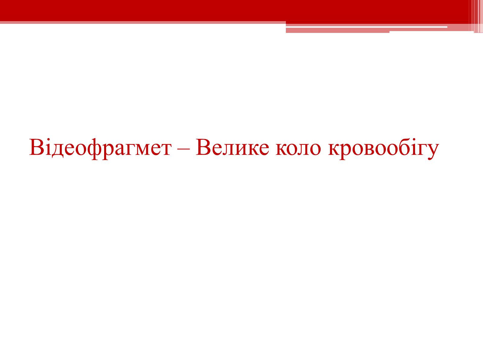 Презентація на тему «Кровообіг. Функції серця» - Слайд #8