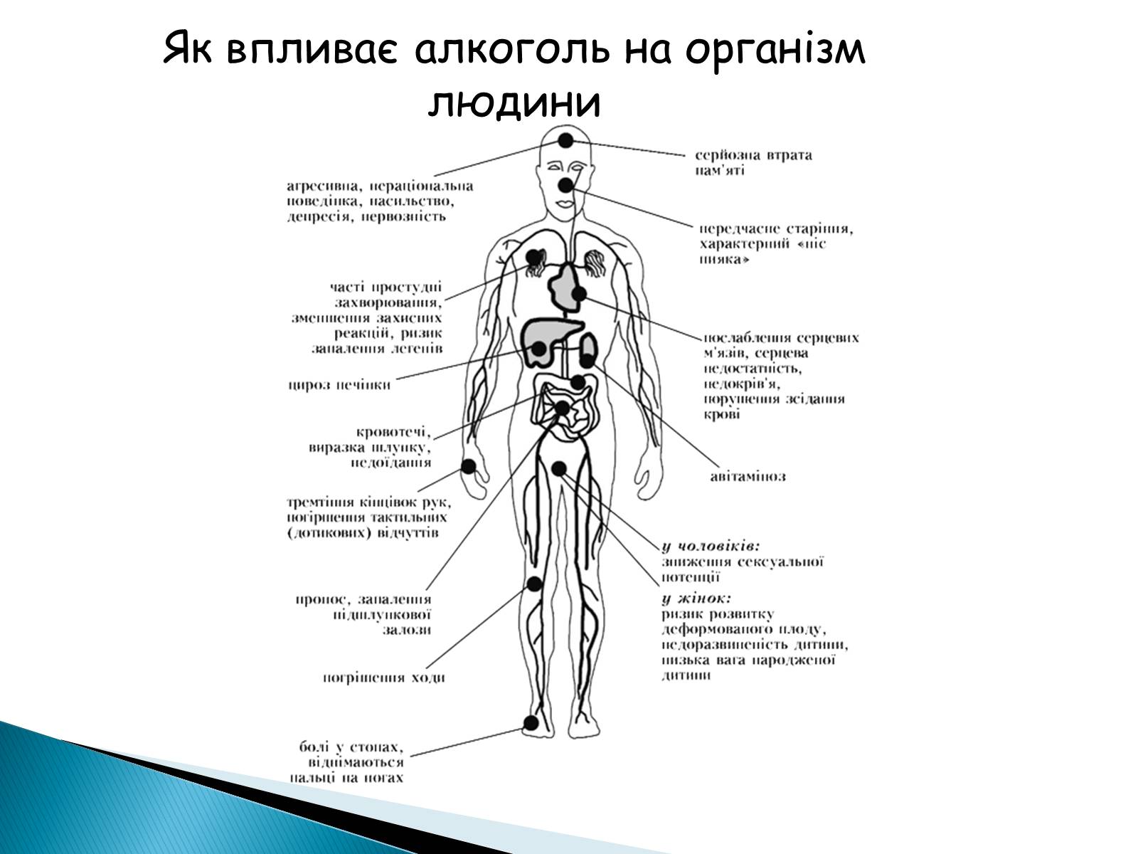 Презентація на тему «Вплив алкоголю на здоров&#8217;я підлітка» (варіант 2) - Слайд #3