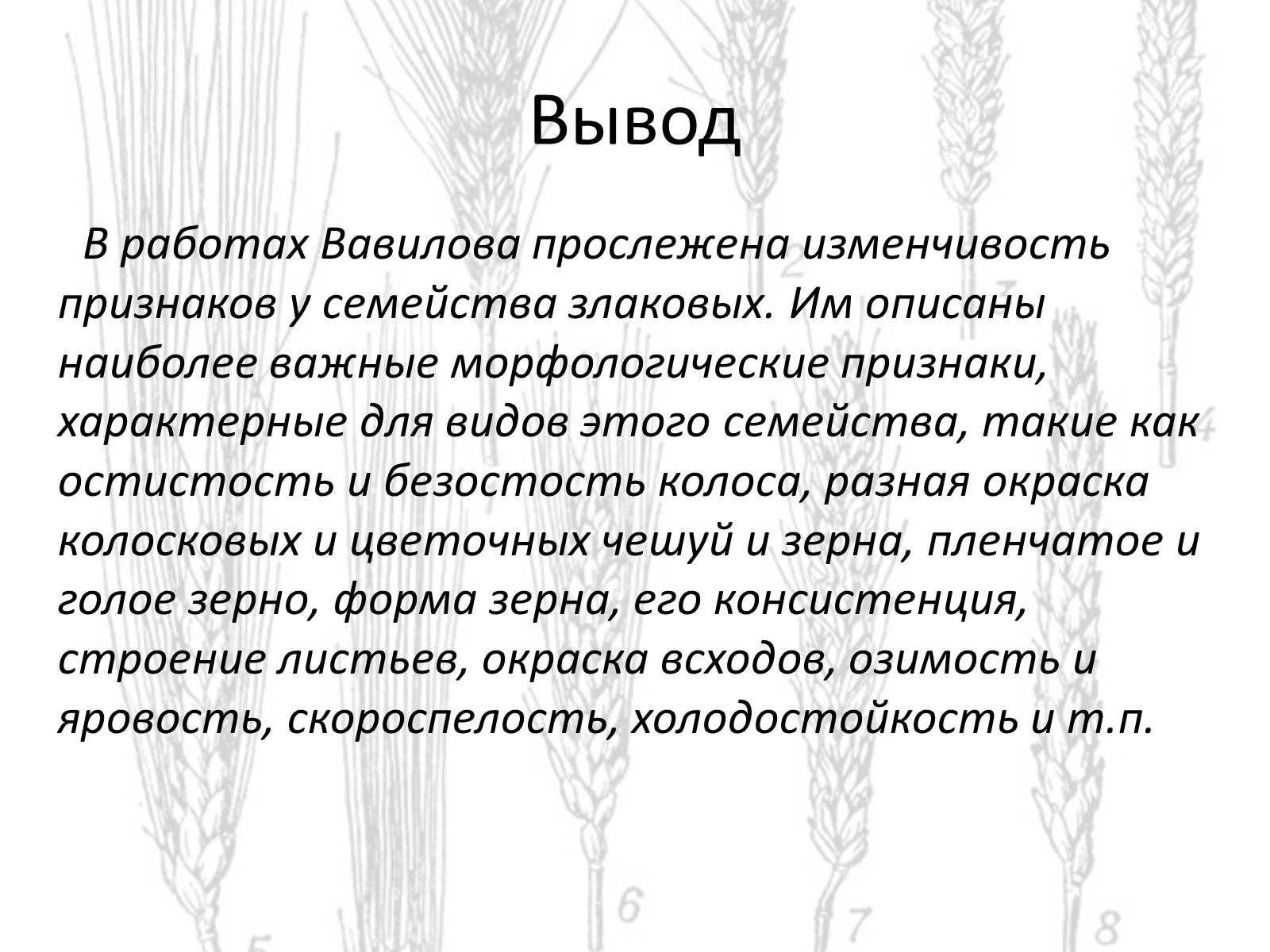 Презентація на тему «Закон гомологических рядов Вавилова» - Слайд #12