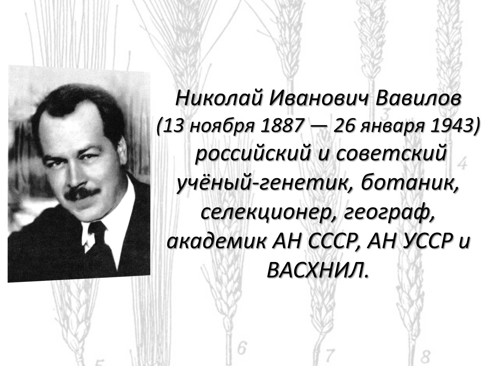 Презентація на тему «Закон гомологических рядов Вавилова» - Слайд #2