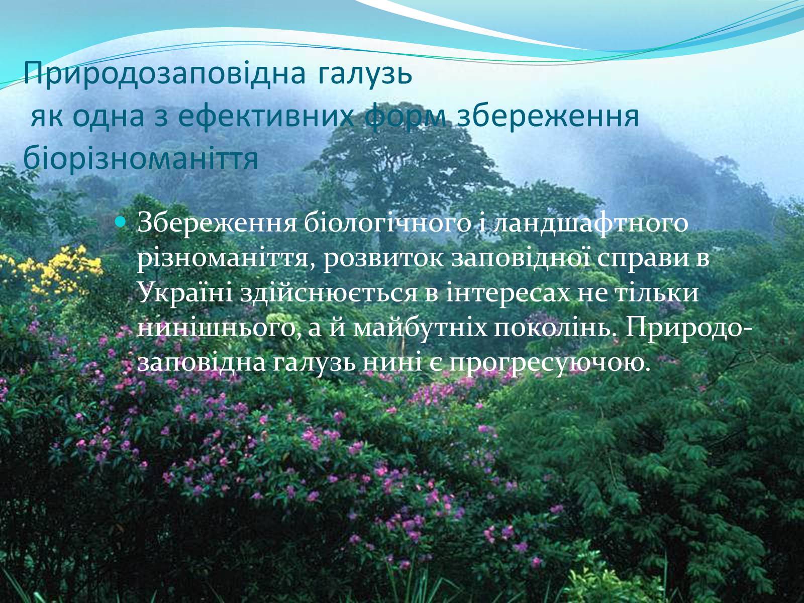 Презентація на тему «Біорізноманіття. Генетичне, видове і екосистемне різноманіття» - Слайд #25