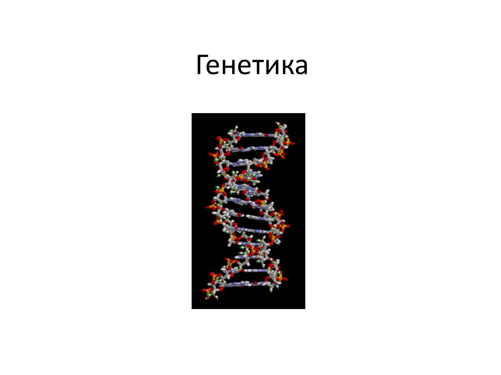 Презентація на тему «Генетика» (варіант 10) - Слайд #1