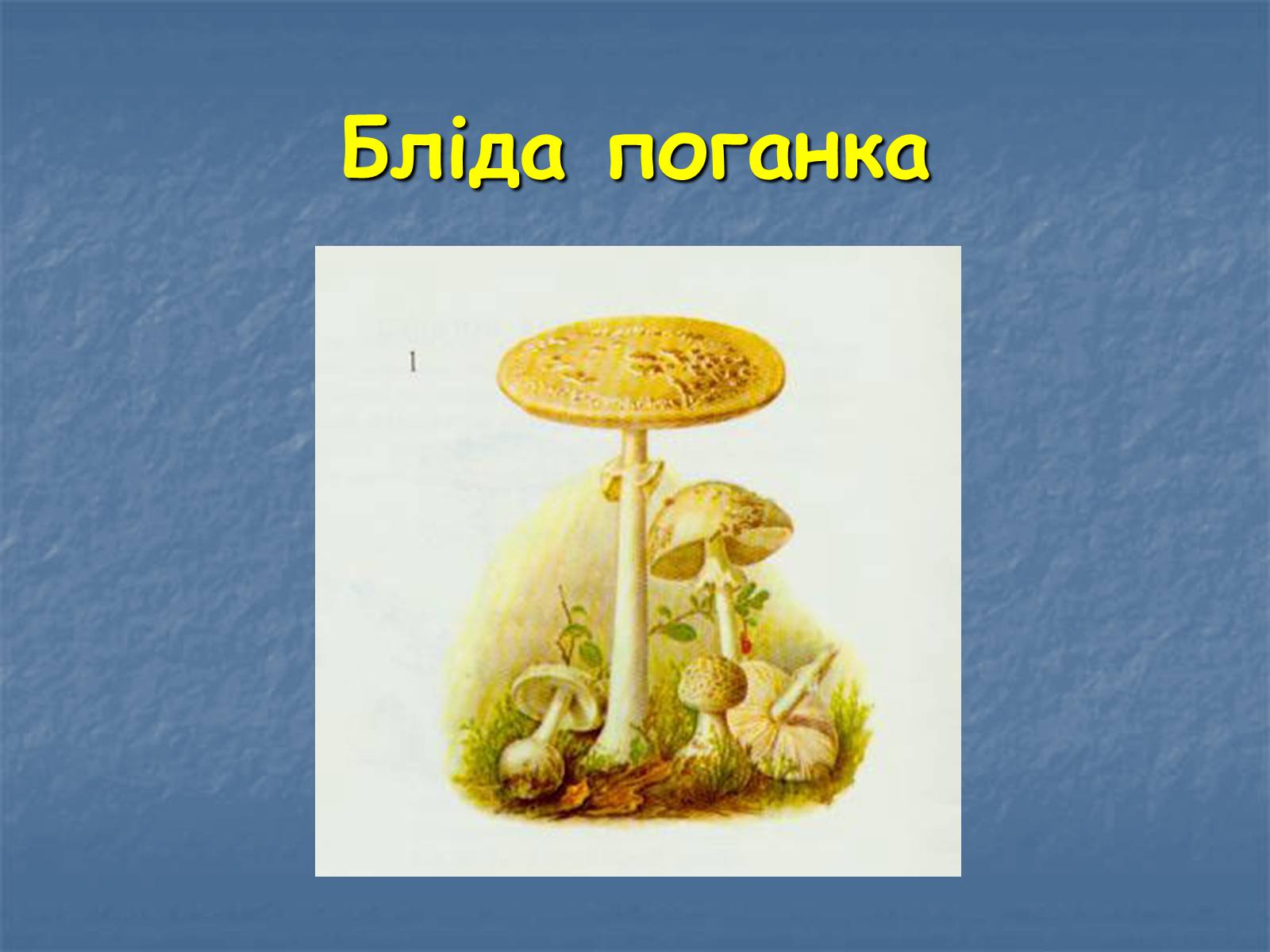 Презентація на тему «Харчові отруєння» - Слайд #8