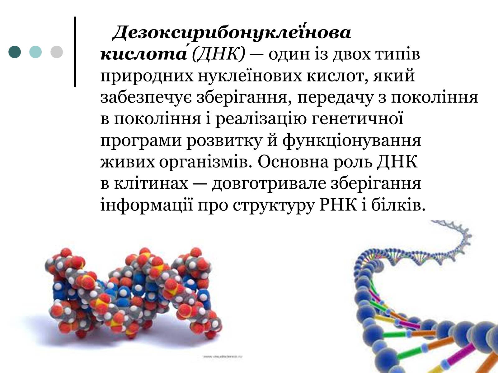 Презентація на тему «Будова, властивості та функції ДНК» - Слайд #2