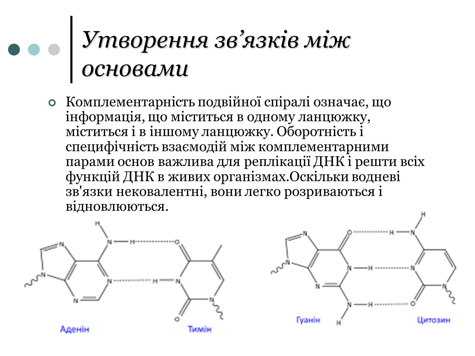 Презентація на тему «Будова, властивості та функції ДНК» - Слайд #6