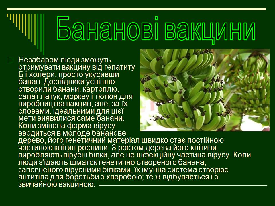 Презентація на тему «Трансгенні організми» (варіант 8) - Слайд #15