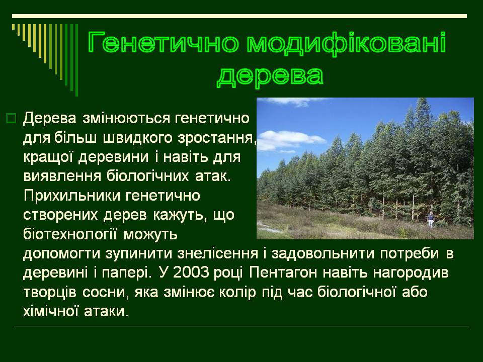 Презентація на тему «Трансгенні організми» (варіант 8) - Слайд #16