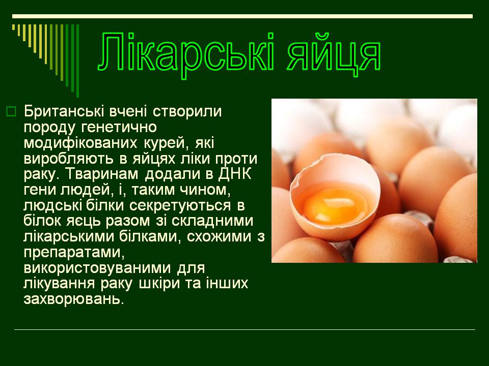 Презентація на тему «Трансгенні організми» (варіант 8) - Слайд #17