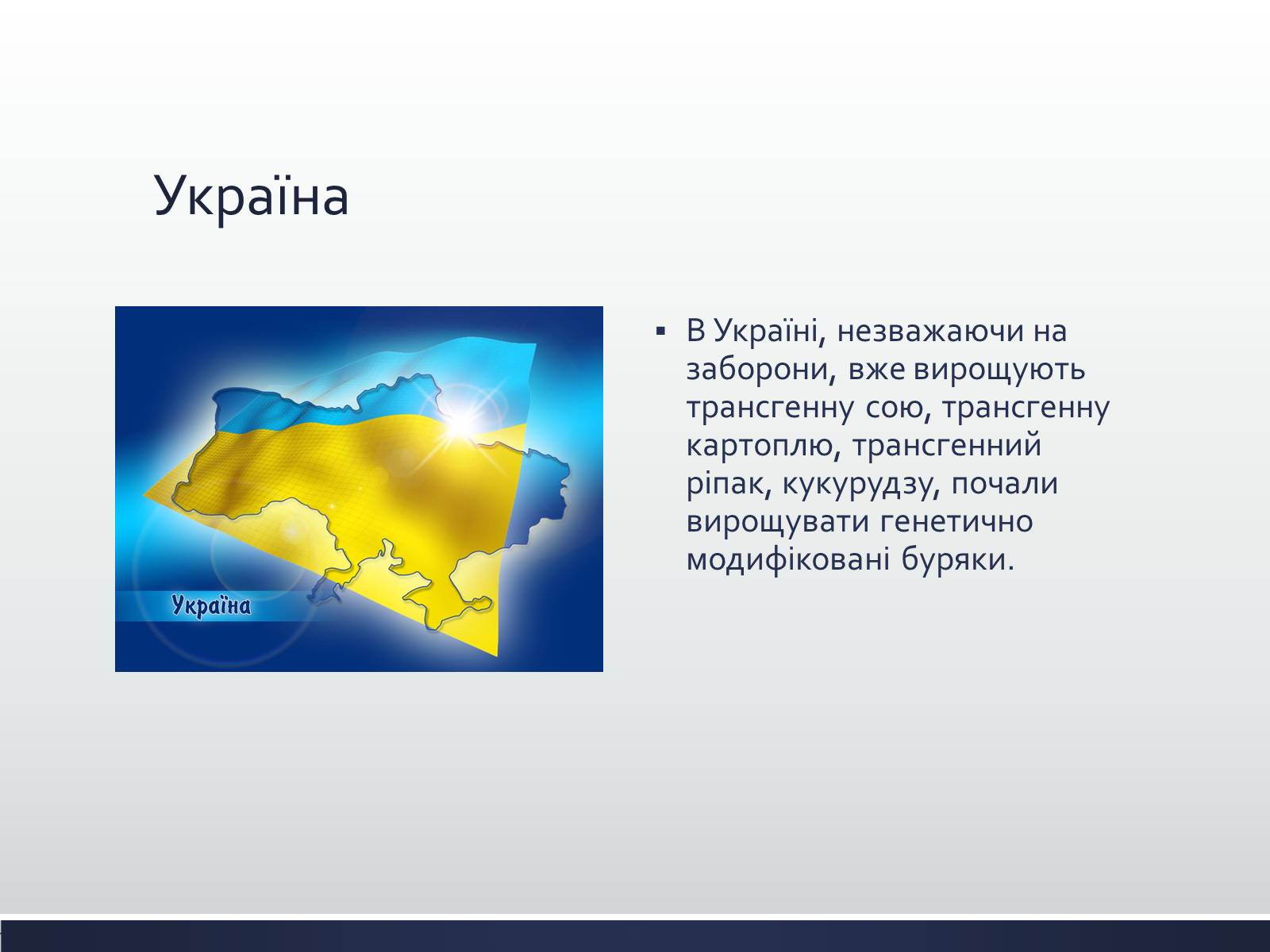 Презентація на тему «Химерні та трансгенні організми» (варіант 1) - Слайд #12