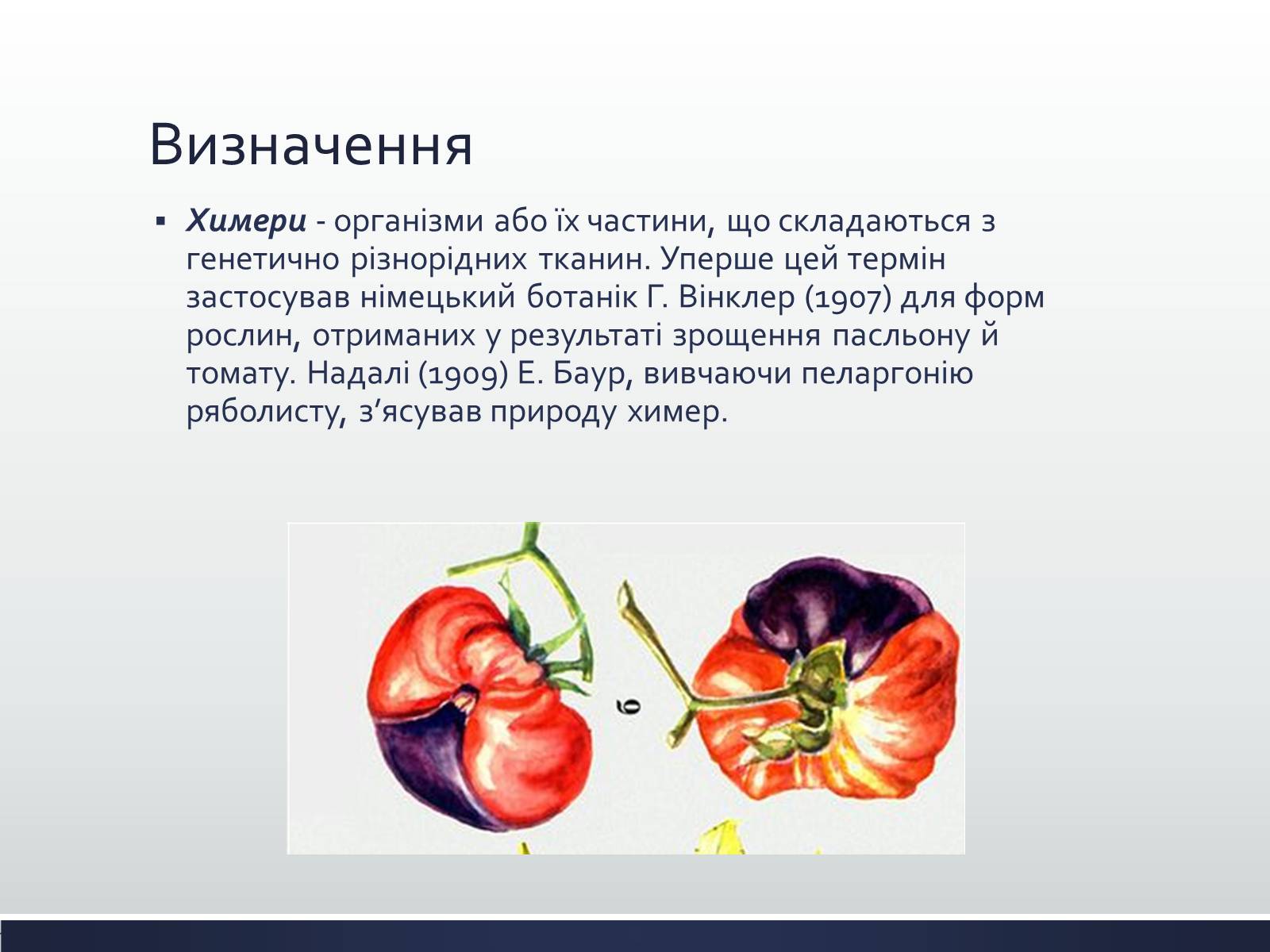 Презентація на тему «Химерні та трансгенні організми» (варіант 1) - Слайд #2