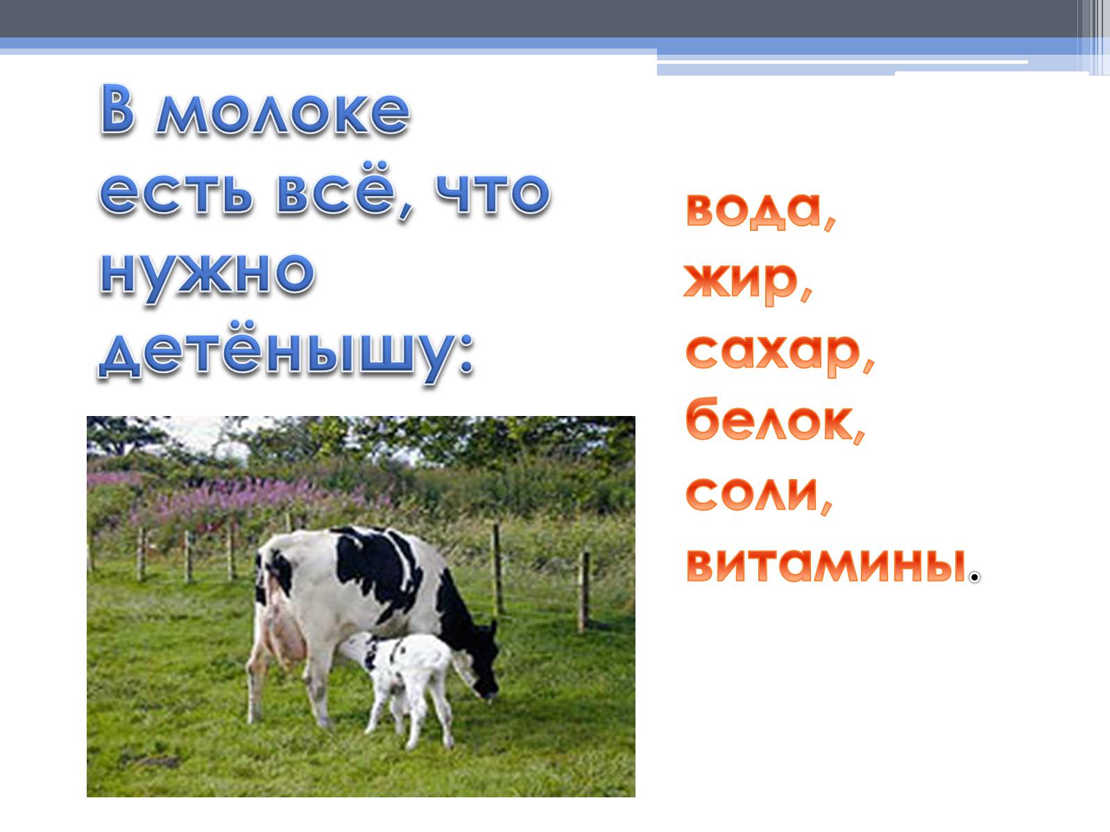 Презентація на тему «Почему скисает молоко?» - Слайд #8