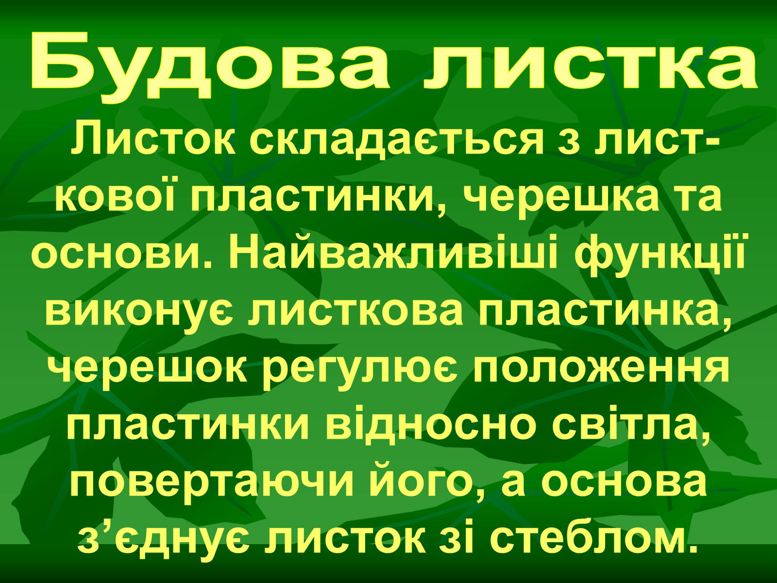 Презентація на тему «Листок» - Слайд #7