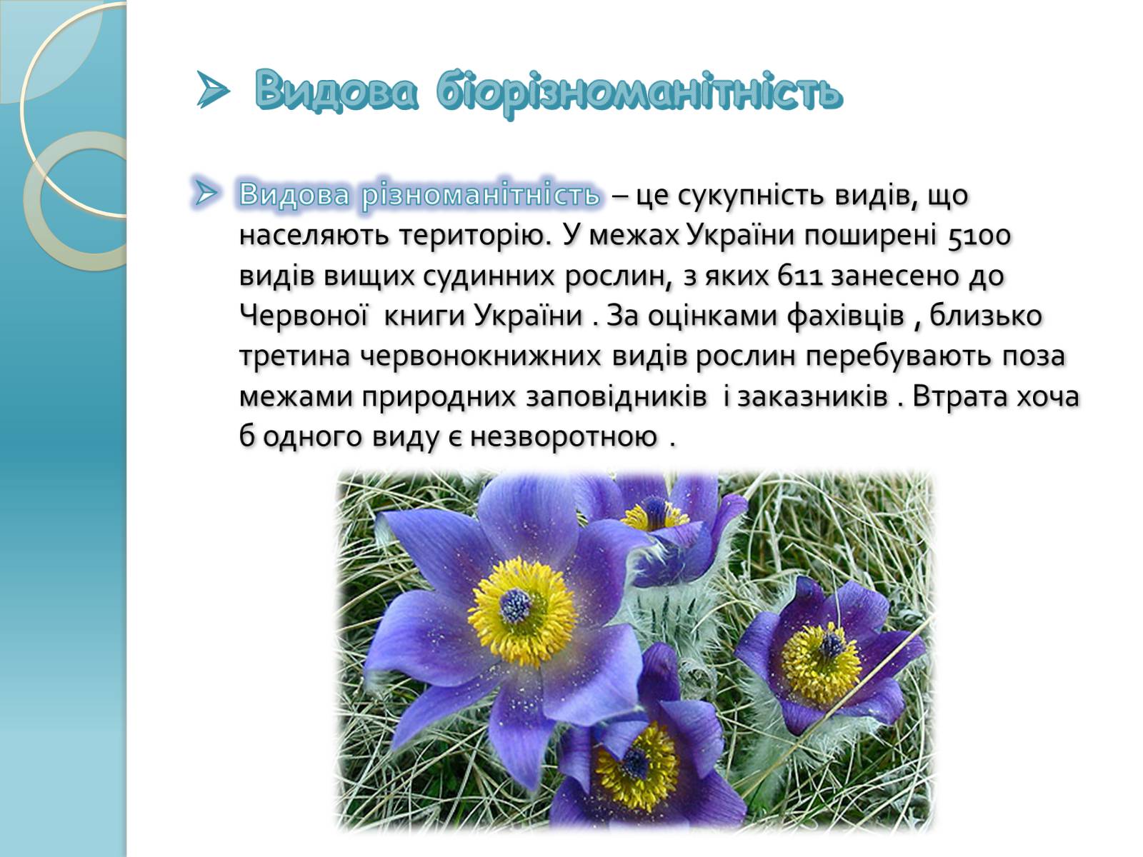 Презентація на тему «Біорізноманіття» (варіант 1) - Слайд #5