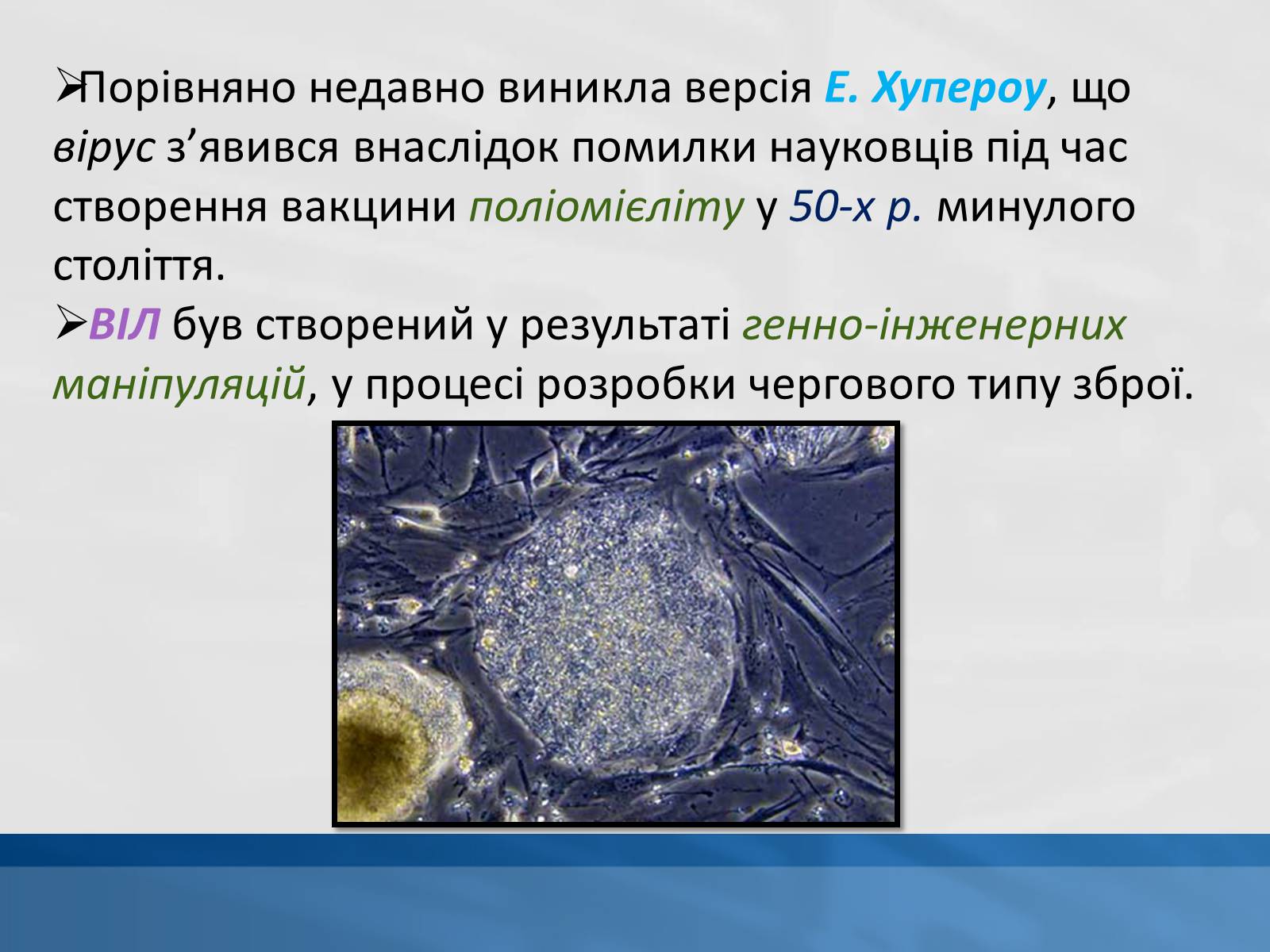 Презентація на тему «ВІЛ. СНІД. інфекції ІПСШ: шляхи передачі і методи захисту» (варіант 11) - Слайд #5