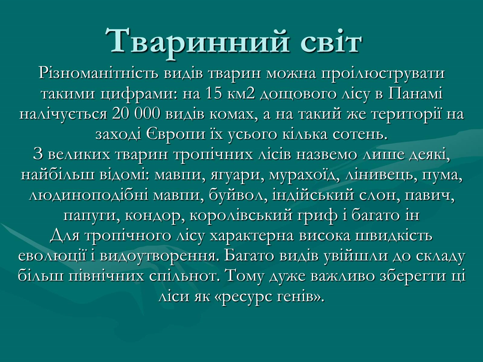 Презентація на тему «Вічнозелені тропічні дощові ліси» - Слайд #5