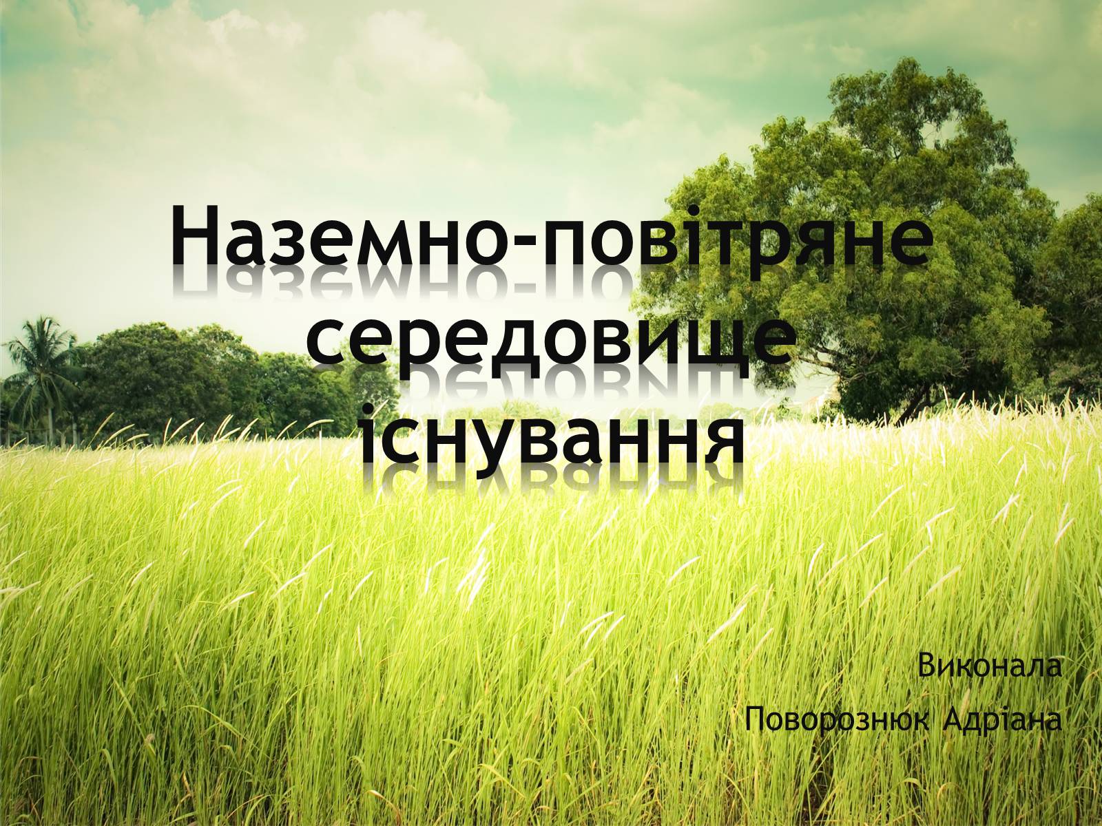 Презентація на тему «Наземно-повітряне середовище існування» (варіант 3) - Слайд #1